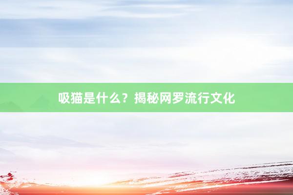 吸猫是什么？揭秘网罗流行文化