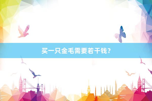 买一只金毛需要若干钱？