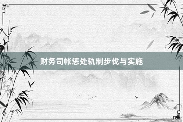 财务司帐惩处轨制步伐与实施